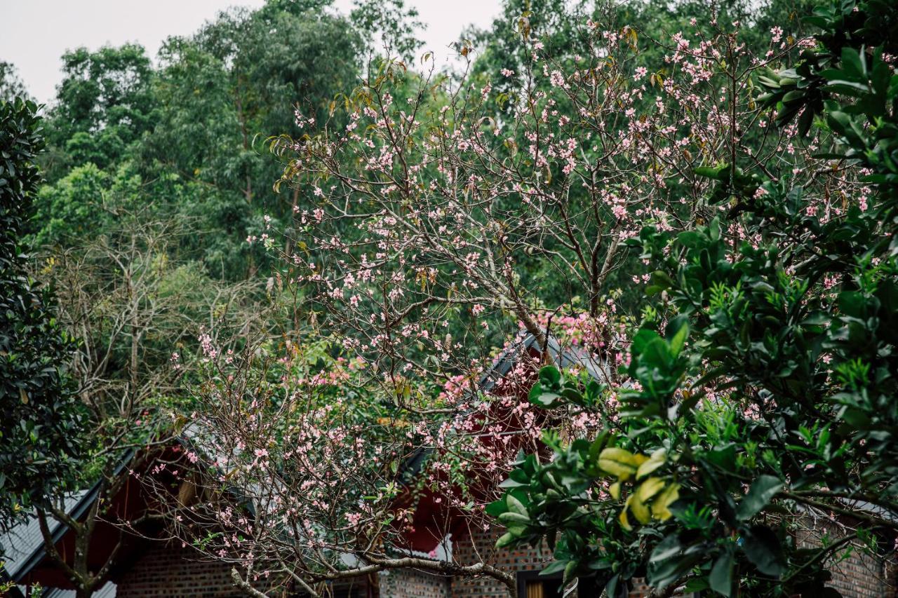 Cat Ba Spring Garden Homestay Hien Hao Kültér fotó